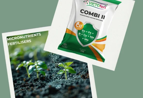 BLOG 1 - MICRONUTRIENTS BLOG 1 - MICRONUTRIENTS