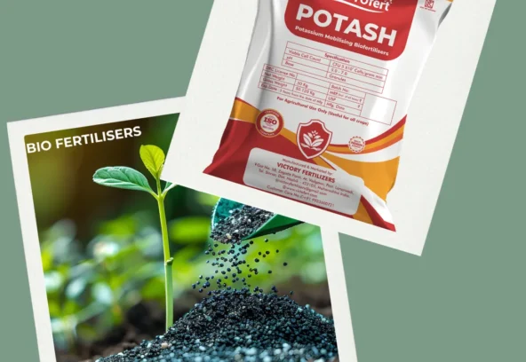 BLOG 2 - BIO FERTILISERS BLOG 2 - BIO FERTILISERS