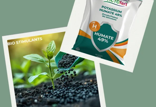 BLOG 3 - BIO STIMULANT FERTILISERS BLOG 3 - BIO STIMULANT FERTILISERS