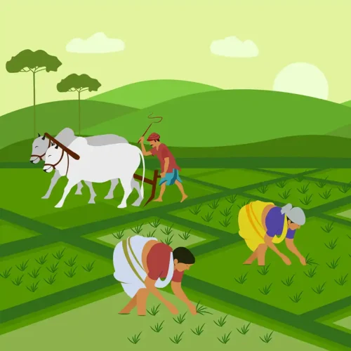 5.Farmer-Centric B2C Accessibility 5.Farmer-Centric B2C Accessibility
