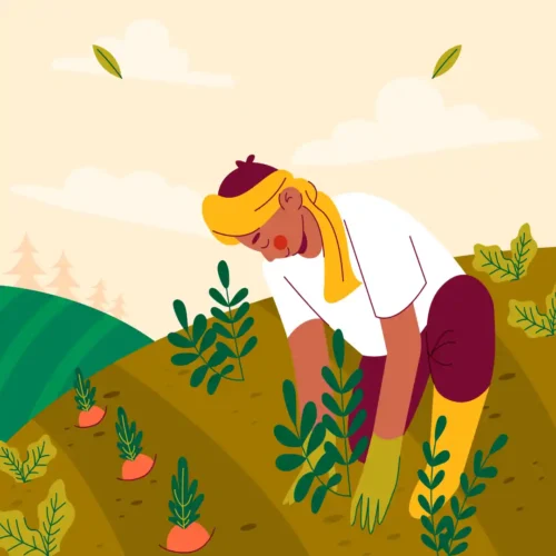 6Continuous Farmer Support & Feedback Loop 6Continuous Farmer Support & Feedback Loop
